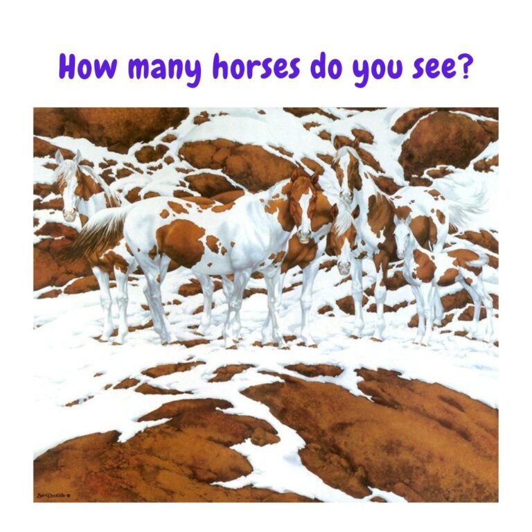Hidden Horses