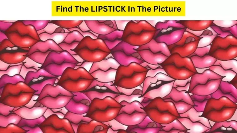 Hidden Lipstick